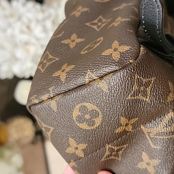 💯% Auth Louis Vuitton Palm Springs Backpack - PM - Picture 7 of 12